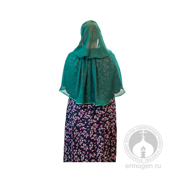 07-04-19-116 спина Б  WATERMARK  LOGO ERMOGEN  800х800 шаблон 5